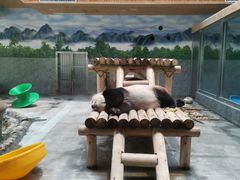 -西安秦岭野生动物园