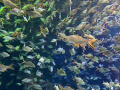 -成都浩海立方海洋公园