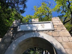 -北京鹫峰国家森林公园
