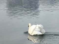 -方中山胡辣汤(顺河路店)