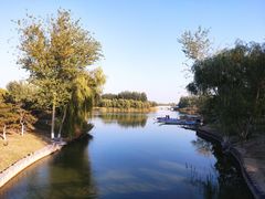 -大兴滨河森林公园