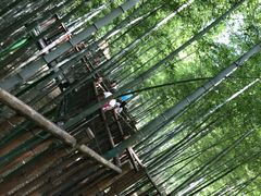 -陶祖圣境风景区