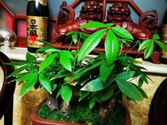 -三旗百汇商品城