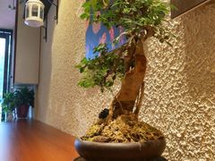 -豆爺小面(朱雀店)
