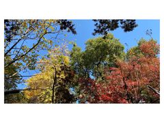 -常州古运河南大街文化旅游区-人民公园