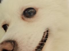 -怪兽屋·羊驼·猫咖·狗咖(俊华广场店)