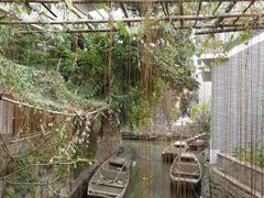 -小洲村