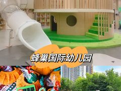 -天津蜂巢幼儿园·托育
