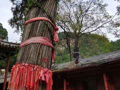 -北京上方山国家森林公园