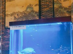 -老江南春·中国龙菜(衡山路店)