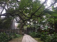 -开平碉楼文化旅游区马降龙景区