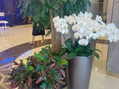 -王品牛排(杭州大厦店)