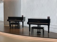 -雅马哈乐器专卖店(广州旗舰店)