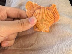 -大连双兴商品城