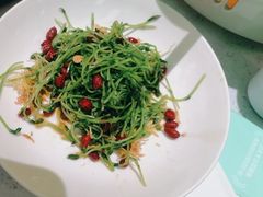 -青花椒花椒鱼(合生汇店)