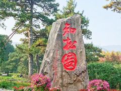 -香山公园
