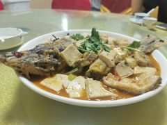 -煲来饱去冷水鱼
