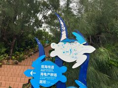 -广东惠东海龟国家级自然保护区