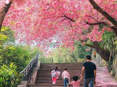 -桃花涧