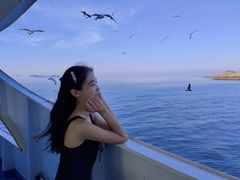 -海驴岛(荣成市)