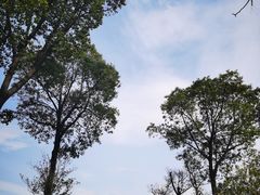 -尚贤河湿地