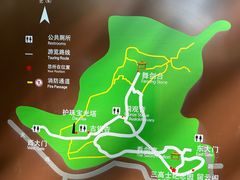 -上海佘山国家森林公园天马山园