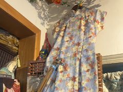 -暮晚尘香汉服旗袍