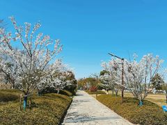 -苏州太湖国家湿地公园