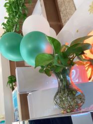 -尚艺造型.剪烫染.接发