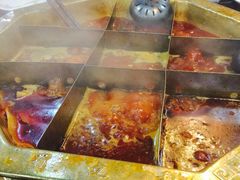 -蜀九香火锅(九眼桥店)