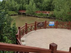 -大亚湾红树林城市湿地公园