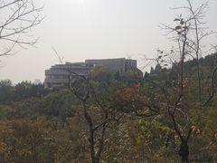 -府君山公园
