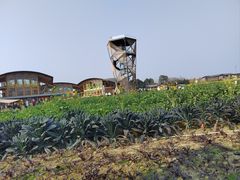 -中国天府农业博览园