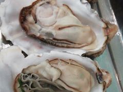-胶东海鲜大排档(北太平庄店)