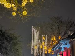 -三只耳火锅(宽窄巷子店)