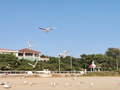 -老虎石海上公园