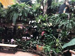 -正佳雨林生态植物园