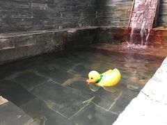 -北京美神宫艺术主题温泉酒店