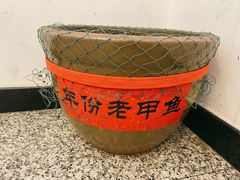 甲鱼缸-聚乐城火锅(仁寿2023年餐饮名店)