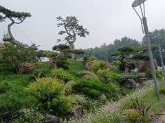 -罗红摄影艺术馆