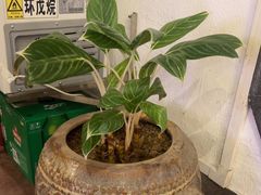 -金苑酒家·客家菜·广东老字号(万象店)