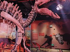 -正佳自然科学博物馆