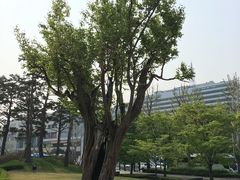 -韩国战争纪念馆