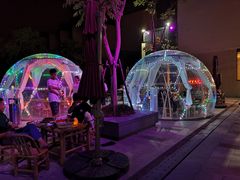 -上海崇明金茂凯悦酒店