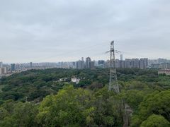 -紫马岭公园
