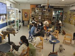 -平行世界·猫咖(首经贸店)