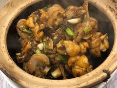 -粤·向群饭店(龙津东路总店)