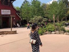 -巴黎迪士尼乐园