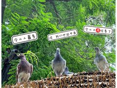 -北京动物园
