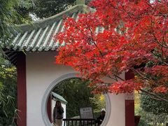 -中山公园